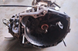 Коробка механіка КПП 2.2 TD Renault Master / Opel Movano 1964944372 фото 1