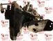 МКПП F13 Opel Astra Corsa Vectra 1.4 1.6 бензин | Коробка передач механічна 5-ступ F13 фото 3